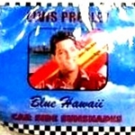 90806E - Car shade elvis blue hawaii