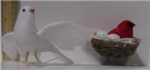 9928X - Chr decoration dove