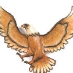 D9554 - Eagle flying hanging
