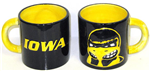 EMG043IA -IA Hawkeye Mug Embossed Mascot