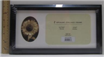 F-269 - photo-frame-collage-2-opening