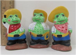 FROGTRIO 747 - frog-western-3pc-set