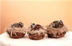 Quail feather/grass eaches