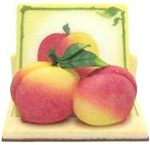 MH353 - coaster-set-peach