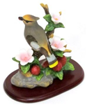 N563 - song-birds-americas-favorite-cedar-waxwing