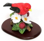 N566 - song-birds-americas-favorite-scarlet-tanager