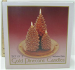 Candle Set 3pc Gold Pinecones