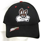 SDCAPCOYOTE - sd-coyotes-cap-velcro