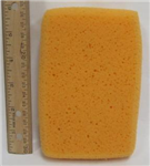Sponge - sponge-orange-loose-6x4in