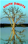 4279SD - SD magnetic postcard tree