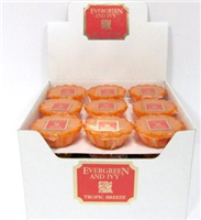 12383 - Potpourri Simmer Tart E&I Tropical 48ct display
