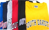 SDTEE-L - SD tee shirt asst colors large